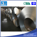 Hot DIP Galvanized Iron Sheet in Coil